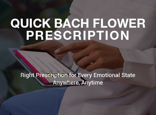 Bach-Flower-prescriber